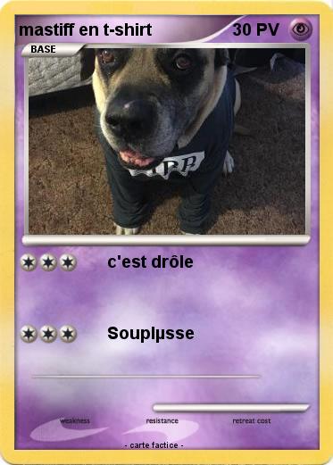 Pokemon mastiff en t-shirt
