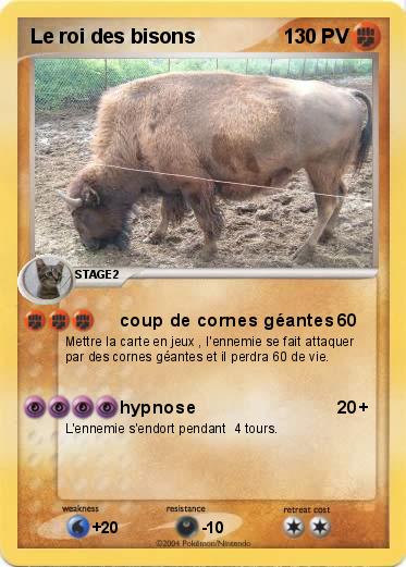 Pokemon Le roi des bisons