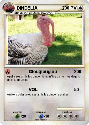 Pokemon DINDELIA