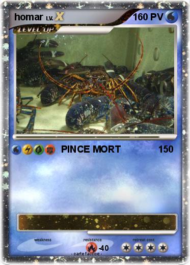 Pokemon homar