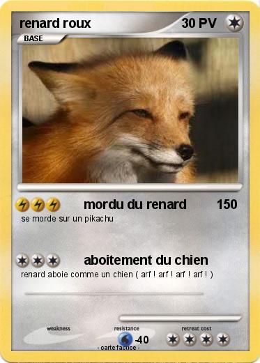 Pokemon renard roux