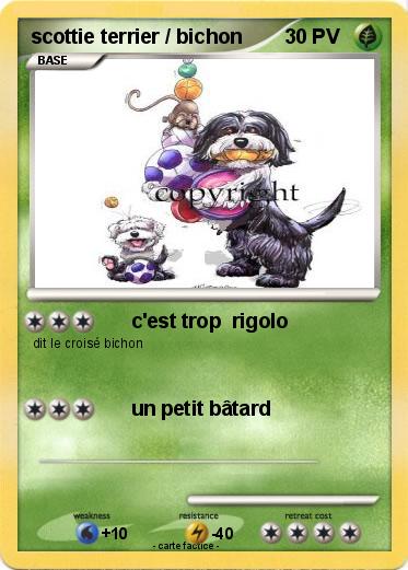 Pokemon scottie terrier / bichon