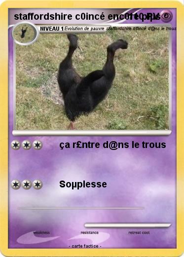 Pokemon staffordshire c0incé enc0re plµs
