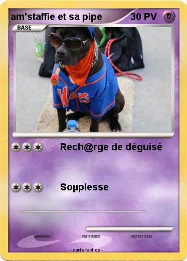Pokemon am'staffie et sa pipe