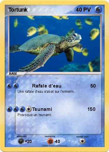 Pokemon Tortunk