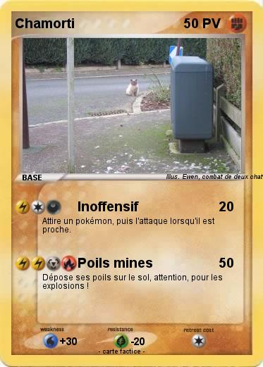 Pokemon Chamorti
