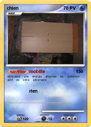 Pokemon chien