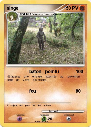 Pokemon singe