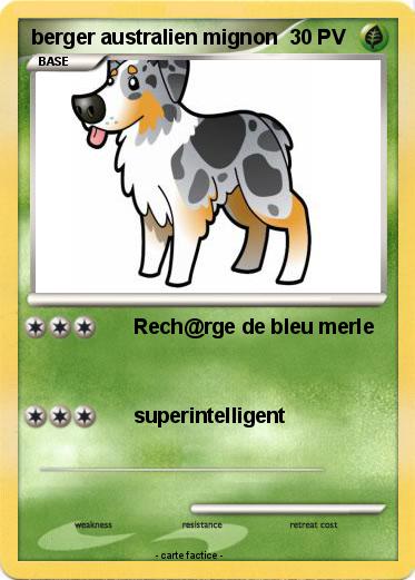 Pokemon berger australien mignon