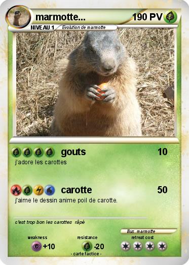 Pokemon marmotte...