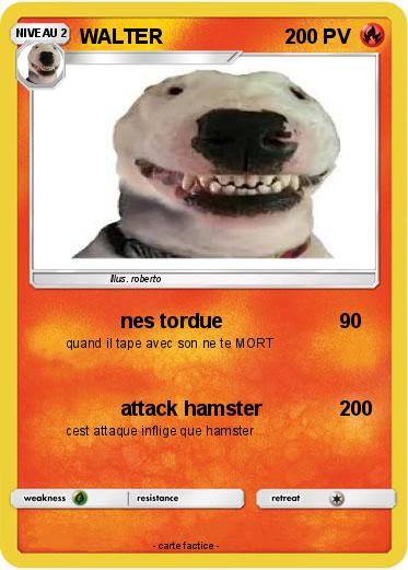 Pokemon WALTER