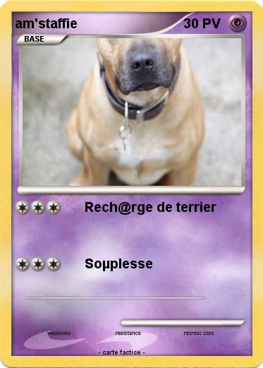 Pokemon am'staffie