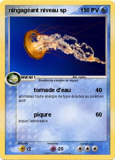 Pokemon ningagéant niveau sp