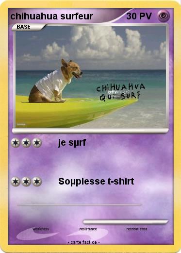 Pokemon chihuahua surfeur