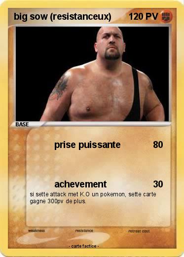 Pokemon big sow (resistanceux)