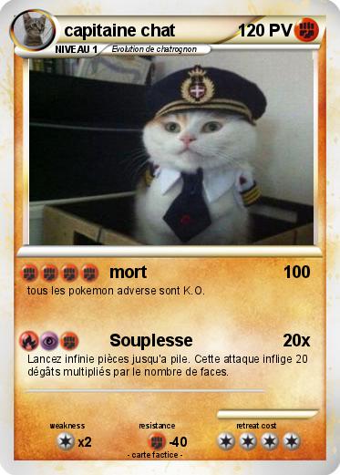 Pokemon capitaine chat