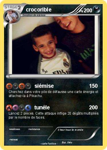 Pokemon crocorible