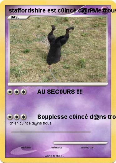 Pokemon staffordshire est c0incé d@ns le trous