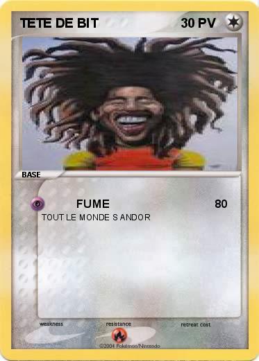 Pokemon TETE DE BIT