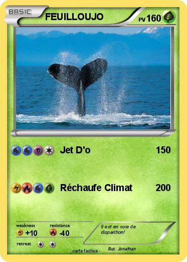 Pokemon FEUILLOUJO