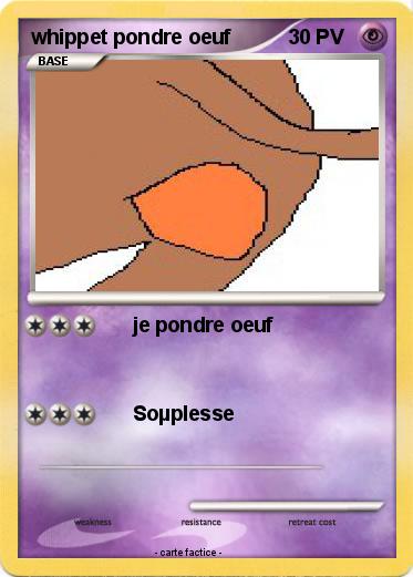 Pokemon whippet pondre oeuf