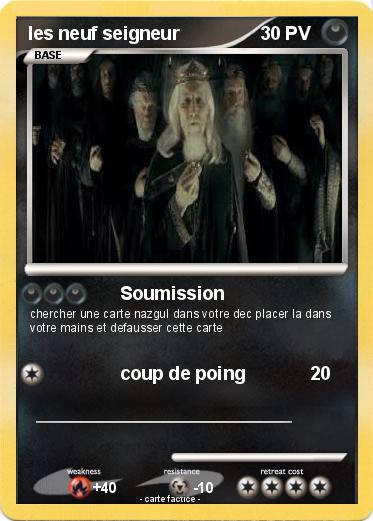 Pokemon les neuf seigneur