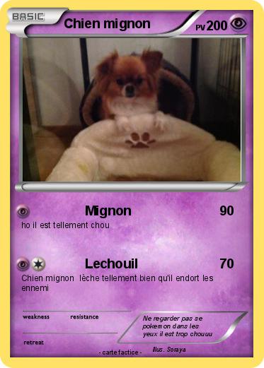 Pokemon Chien mignon