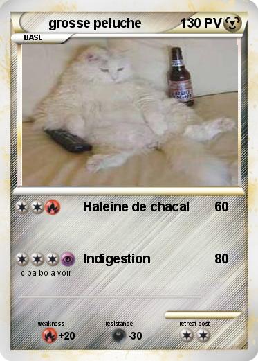 Pokemon grosse peluche