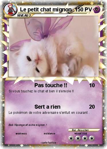 Pokemon Le petit chat mignon