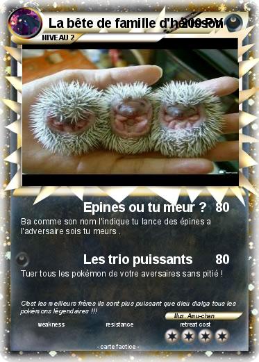 Pokemon La bête de famille d'hérisson