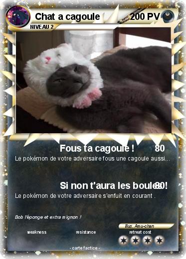 Pokemon Chat a cagoule