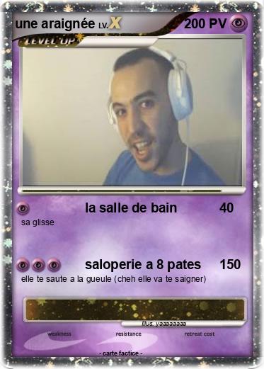 Pokemon une araignée