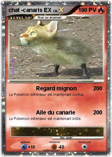 Pokemon chat -canaris EX