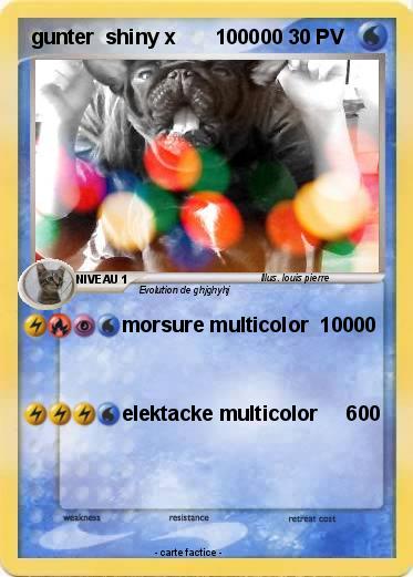 Pokemon gunter  shiny x       100000