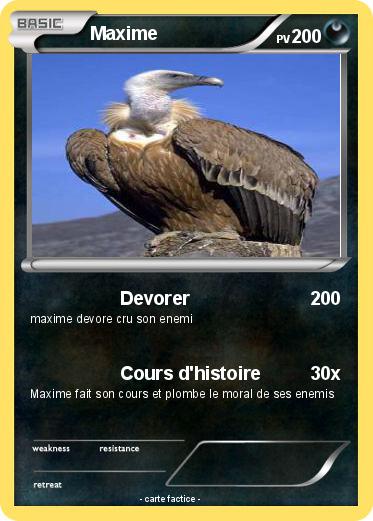 Pokemon Maxime