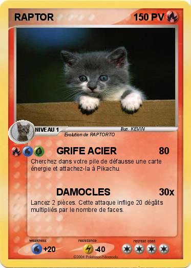 Pokemon RAPTOR
