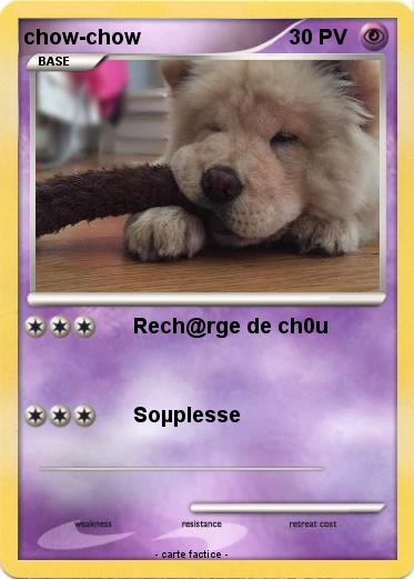 Pokemon chow-chow