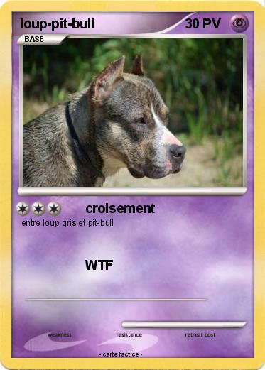 Pokemon loup-pit-bull