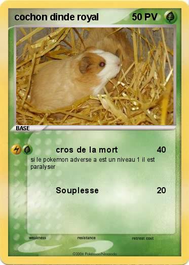 Pokemon cochon dinde royal                   