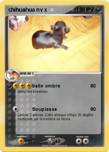 Pokemon chihuahua nv x