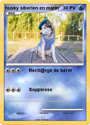 Pokemon husky siberien en marin