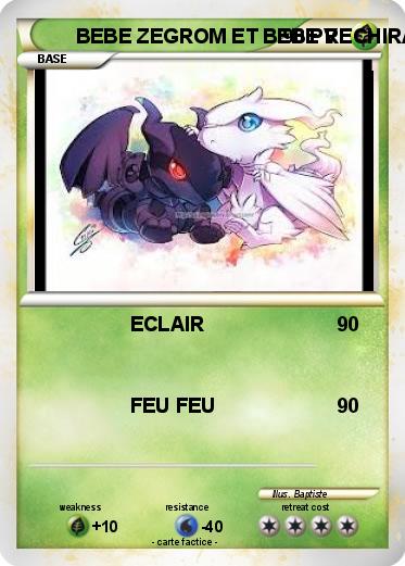 Pokemon BEBE ZEGROM ET BEBE RECHIRAM