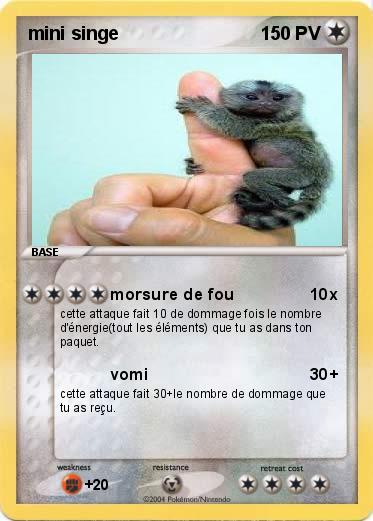 Pokemon mini singe