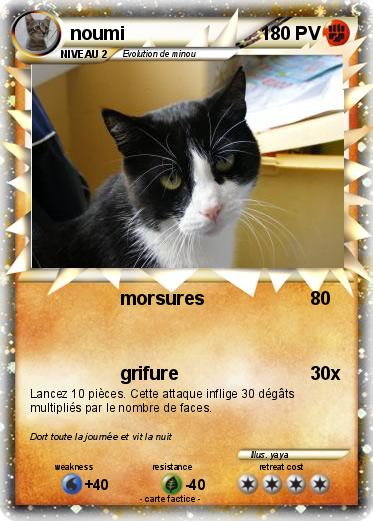 Pokemon noumi