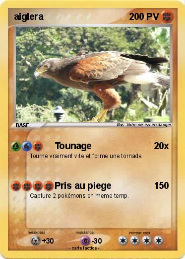 Pokemon aiglera