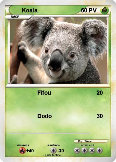 Pokemon Koala