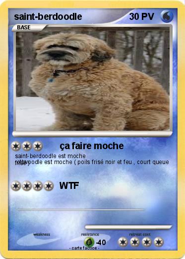 Pokemon saint-berdoodle