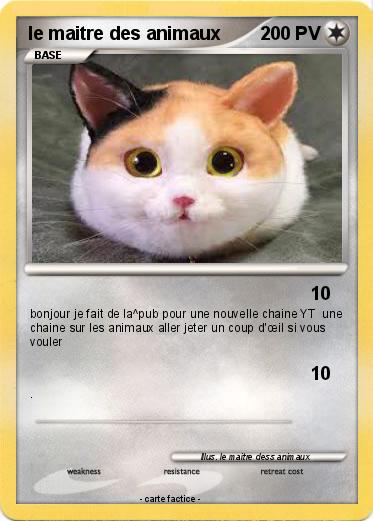 Pokemon le maitre des animaux