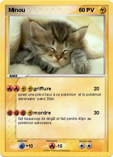 Pokemon Minou