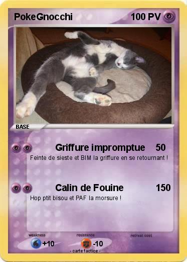 Pokemon PokeGnocchi